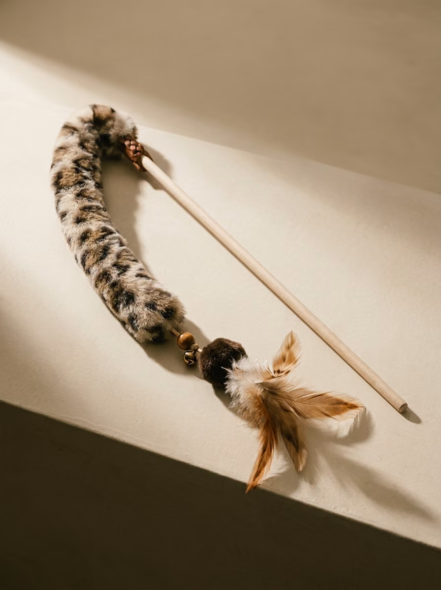 Canin Play beech-handle feather teaser